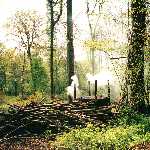 charcoal kiln 